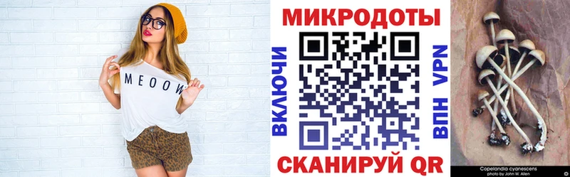 Псилоцибиновые грибы GOLDEN TEACHER Юрга